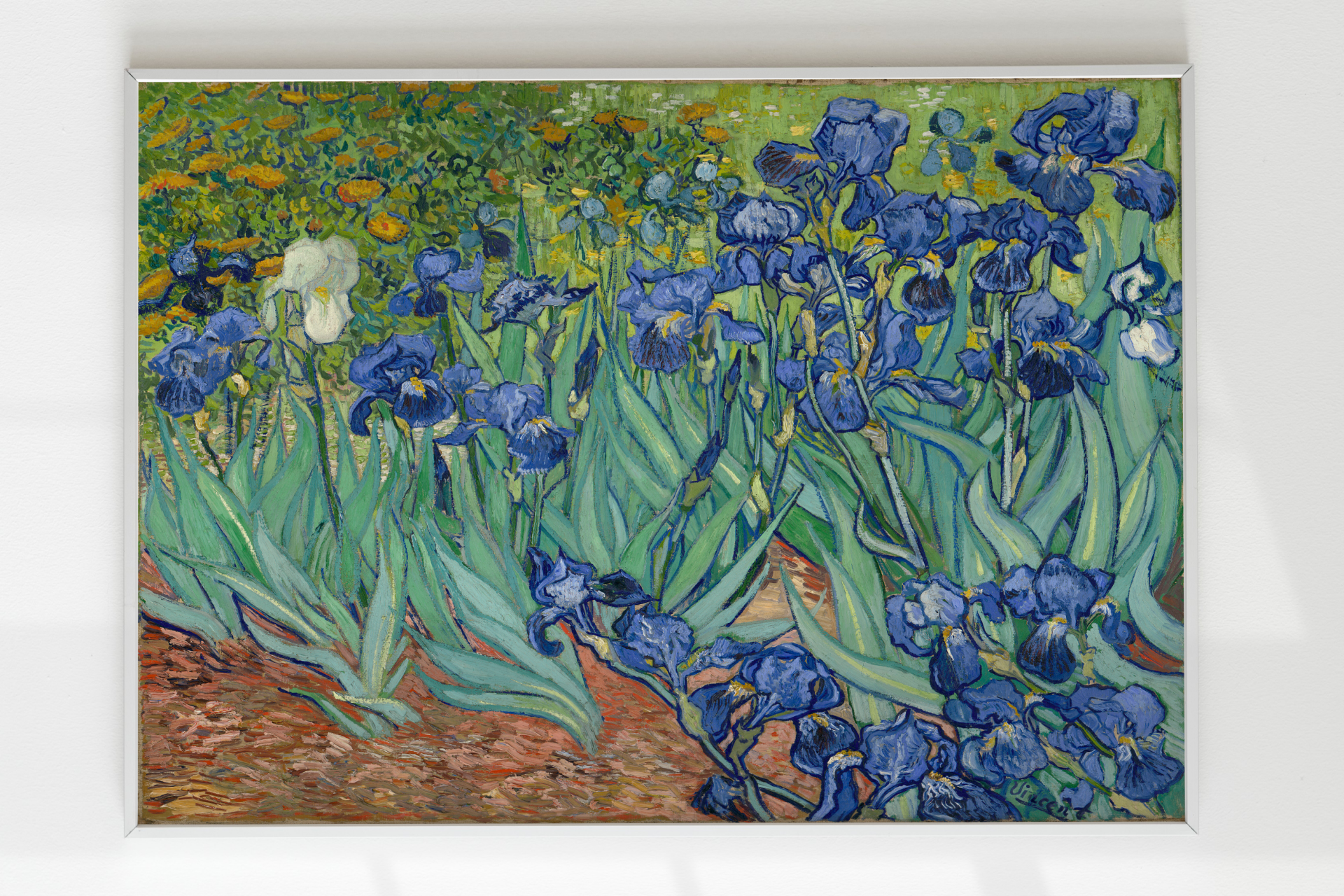 Irises - Van Gogh