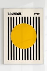 Bauhaus Solar Discipline