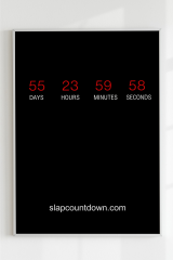 Slapcountdown.com / HIMYM