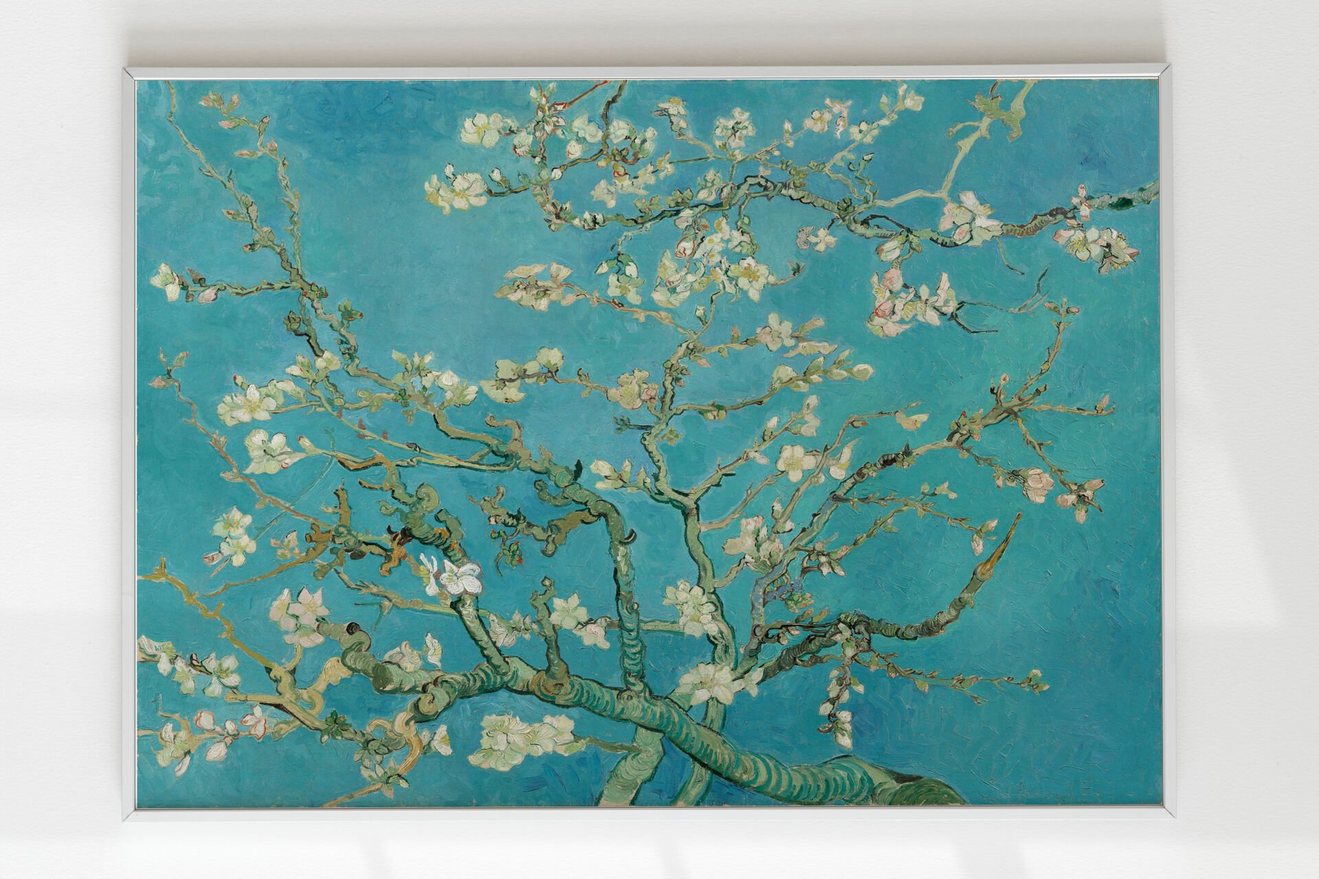 Almond Blossom