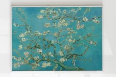 Almond Blossom